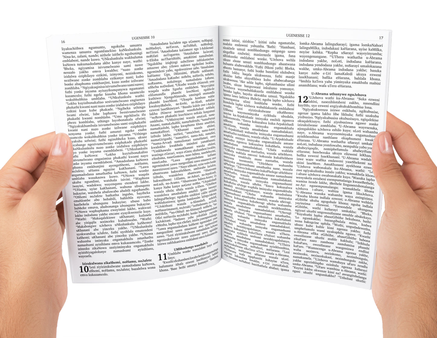 Zulu Bible Complete with Old and New Testament