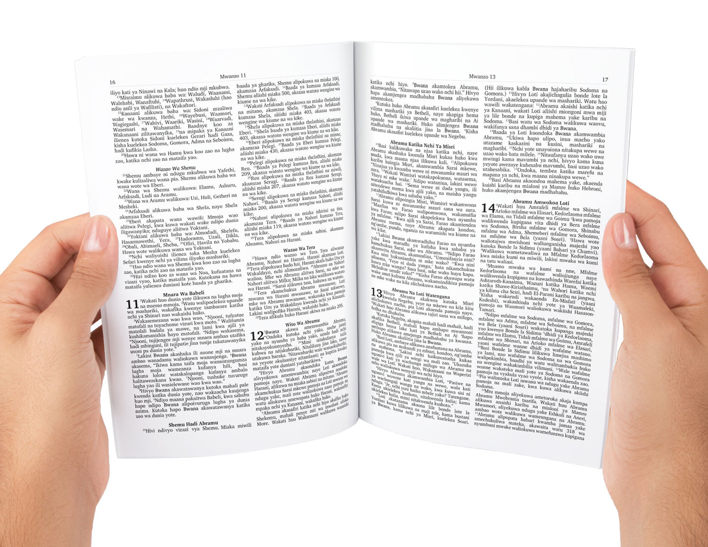 Swahili Bible Complete with Old and New Testament