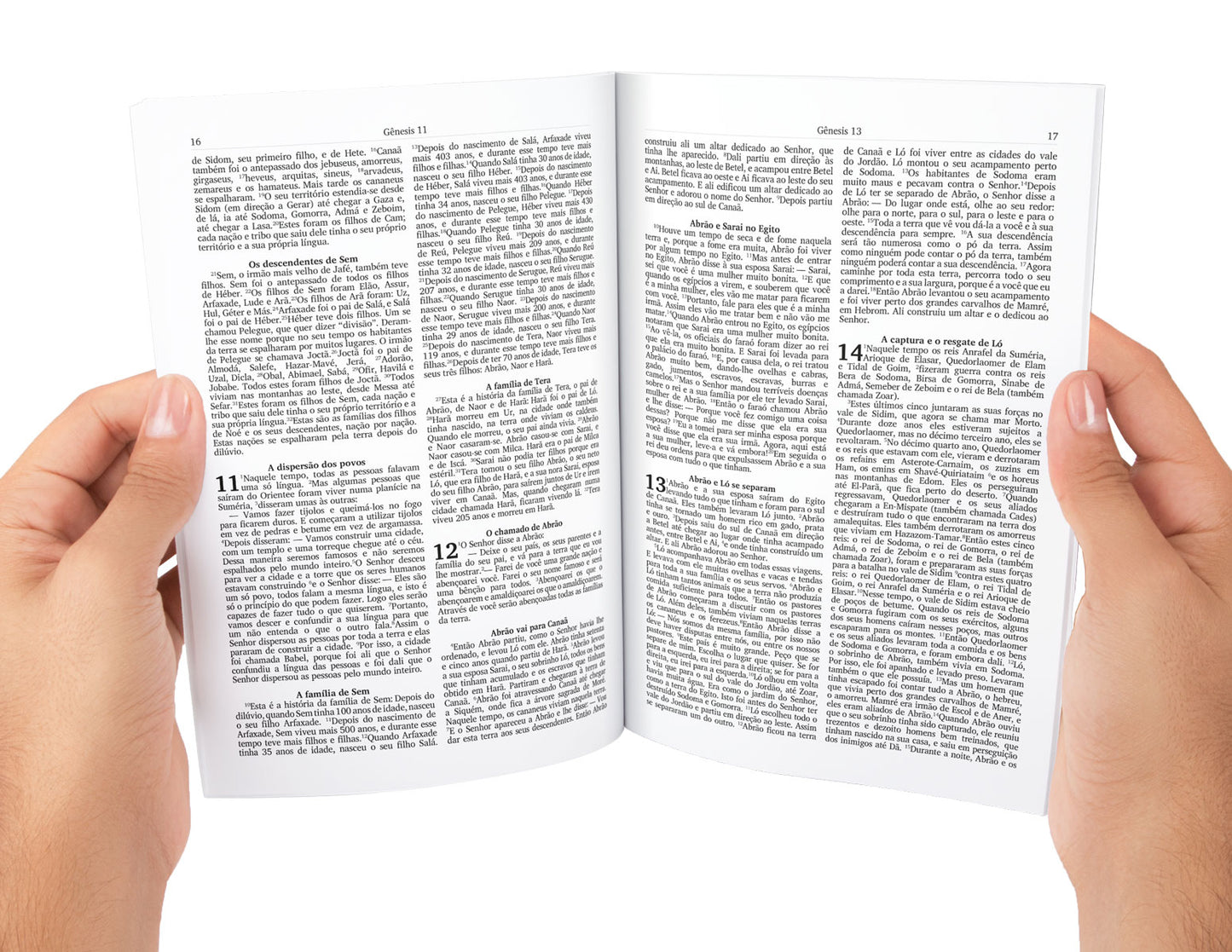 Portuguese Bible Complete with Old and New Testament