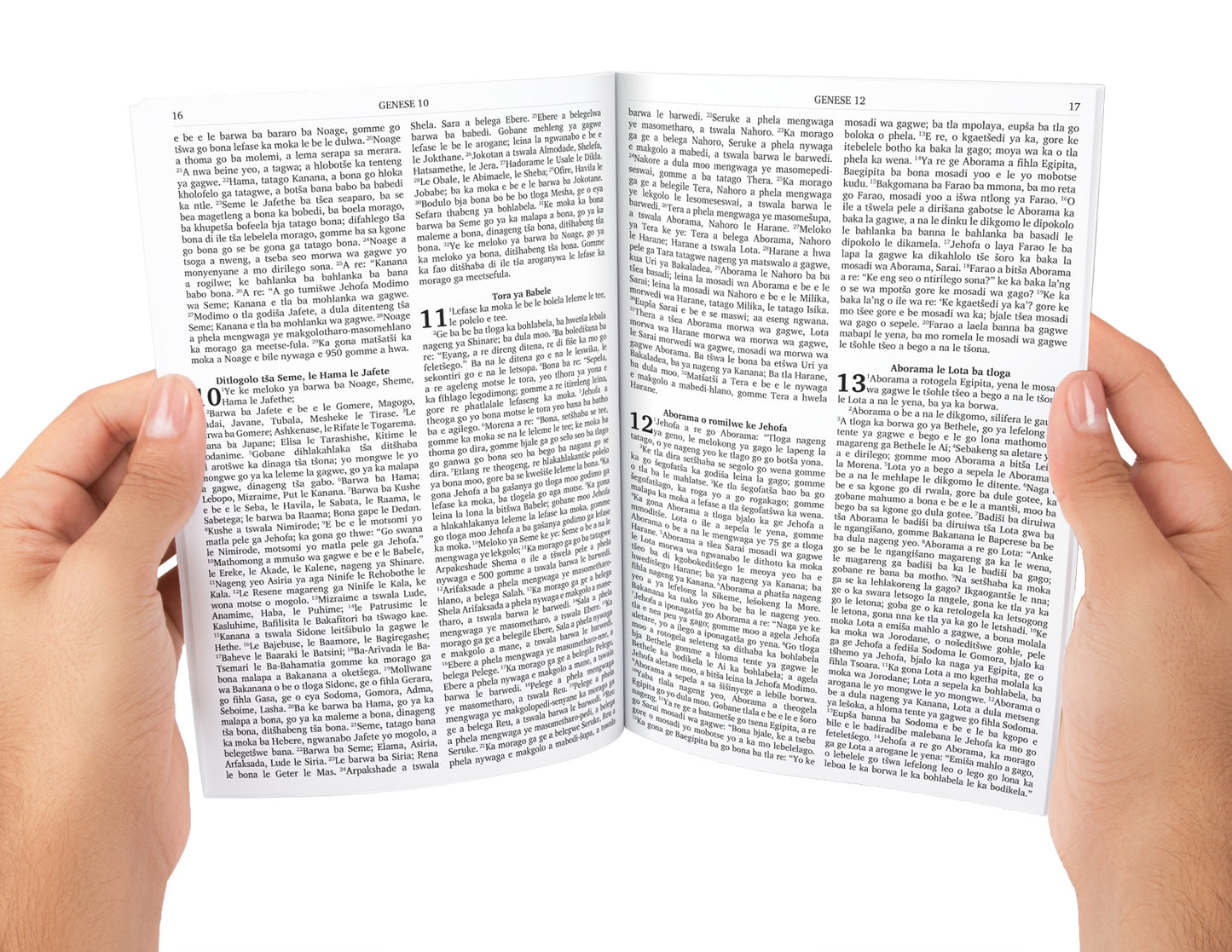 Sepedi Bible Complete with Old and New Testament