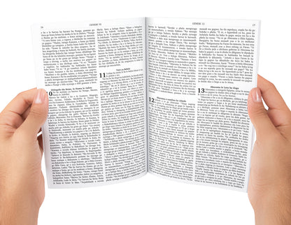 Sepedi Bible Complete with Old and New Testament
