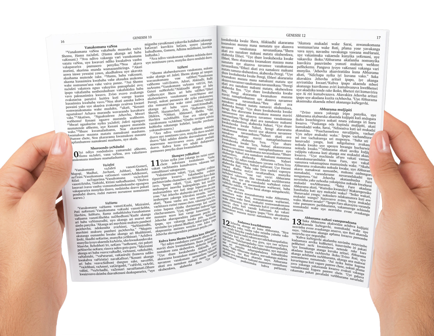 Shona Bible Complete with Old and New Testament