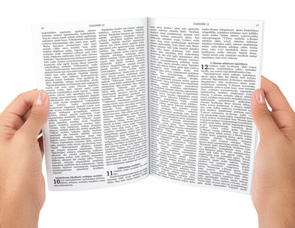 Zulu Bible Complete with Old and New Testament